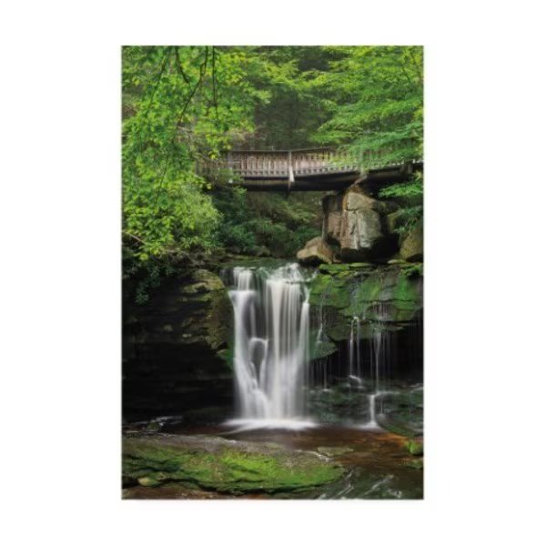 Alan Majchrowicz 'Elakala Falls West II' Canvas Art, 12x19, Trademark Fine Art, Mfr#: WAP12160-C1219GG
